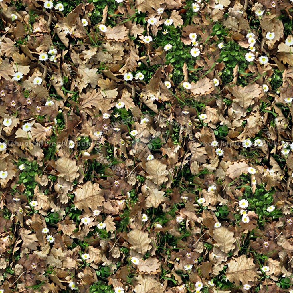 Textures   -   NATURE ELEMENTS   -   VEGETATION   -   Leaves dead  - Leaves dead texture seamless 13123 (seamless)