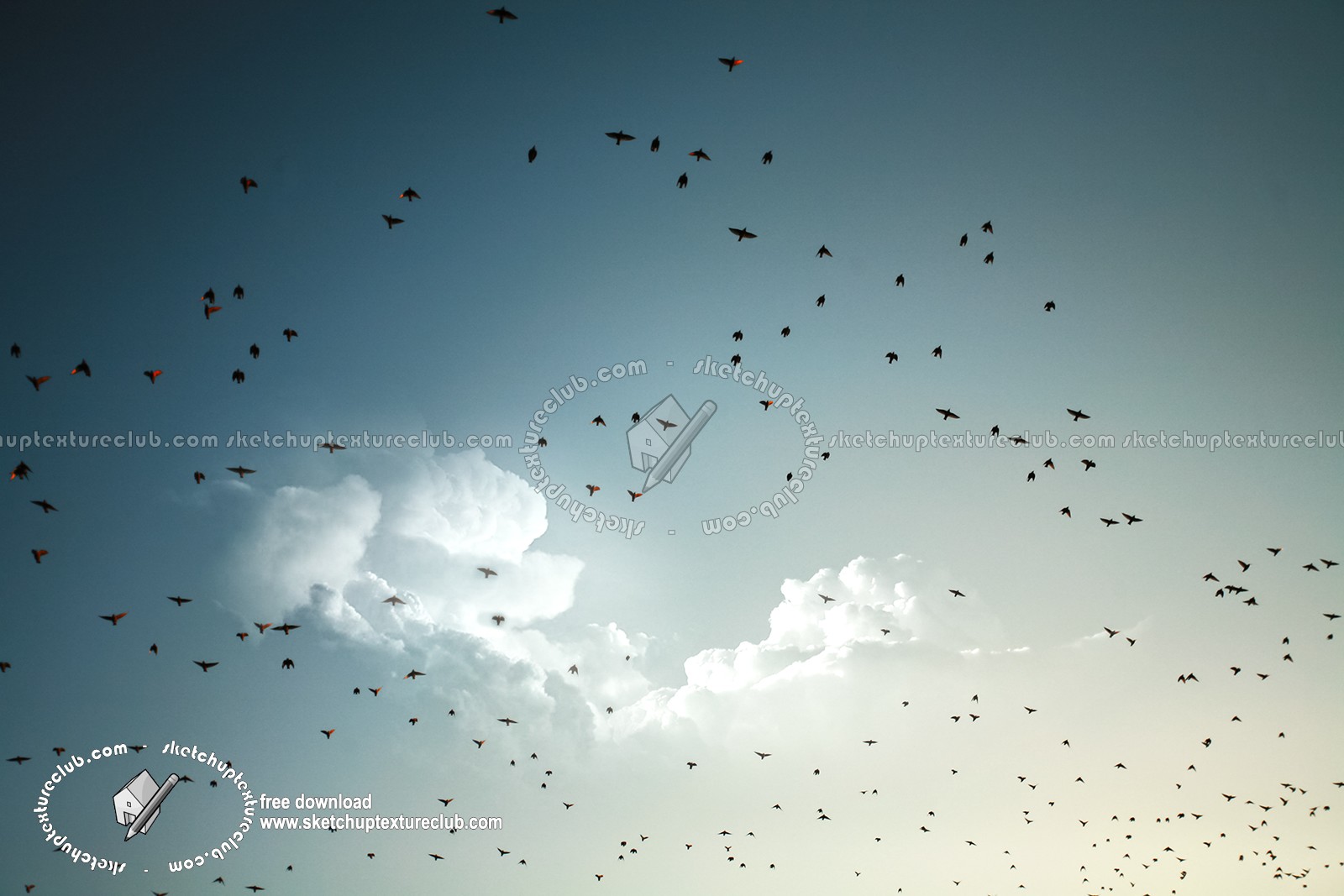 Sky with birds background 17785