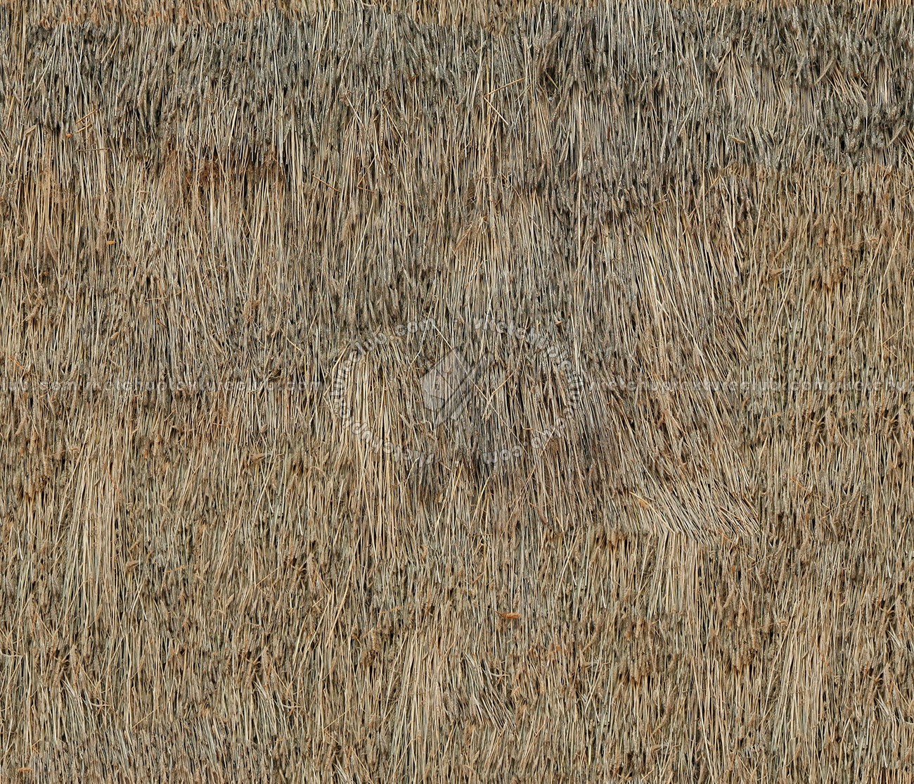 Textures   -   ARCHITECTURE   -   ROOFINGS   -   Thatched roofs  - Thatched roof texture seamless 04044 (seamless)