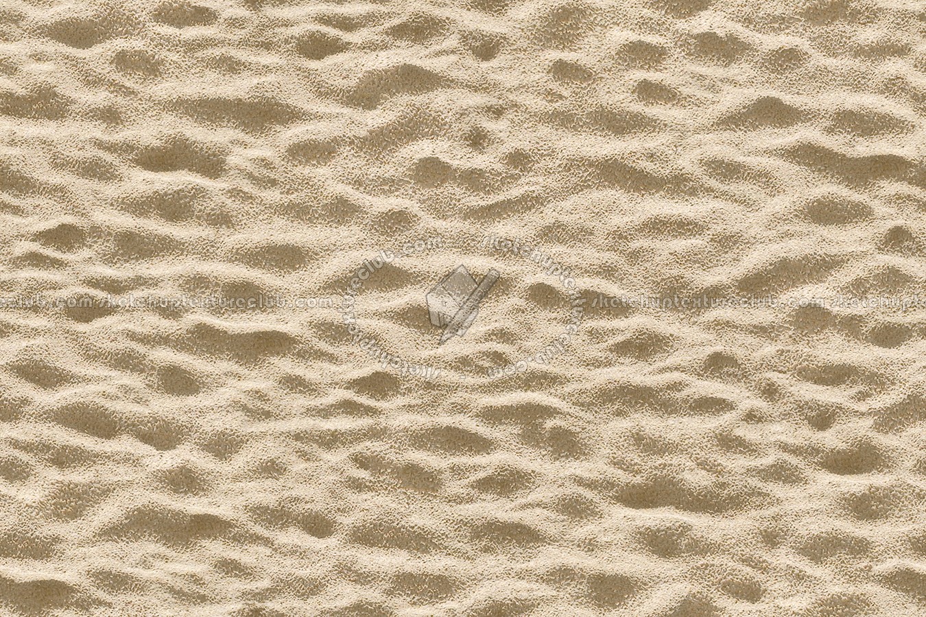 Textures   -   NATURE ELEMENTS   -   SAND  - Beach sand texture seamless 12707 (seamless)