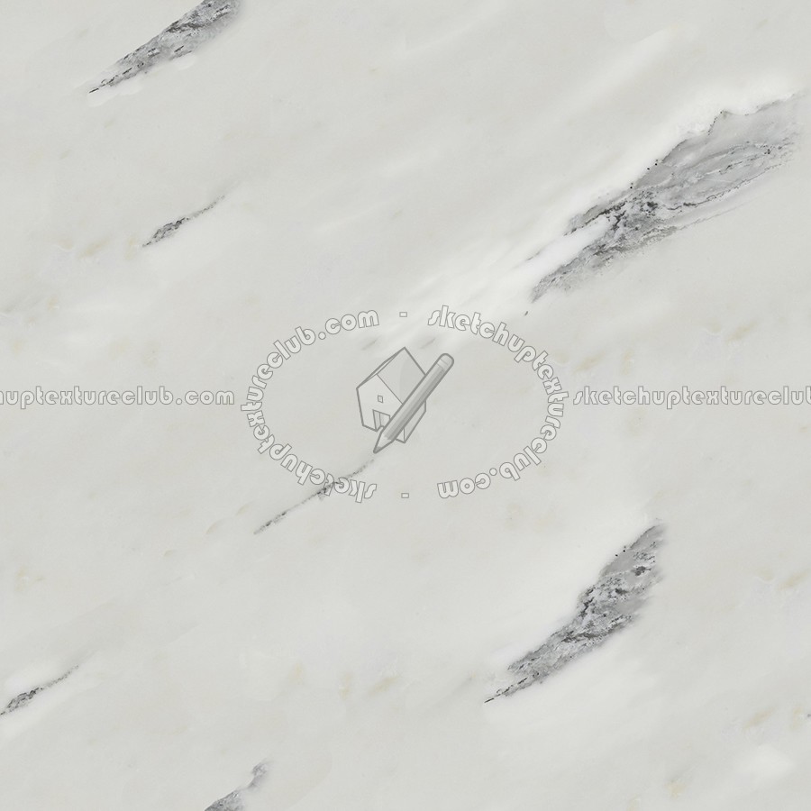 Textures   -   ARCHITECTURE   -   MARBLE SLABS   -   White  - Slab marble Cervaiole white texture seamless 02579 (seamless)