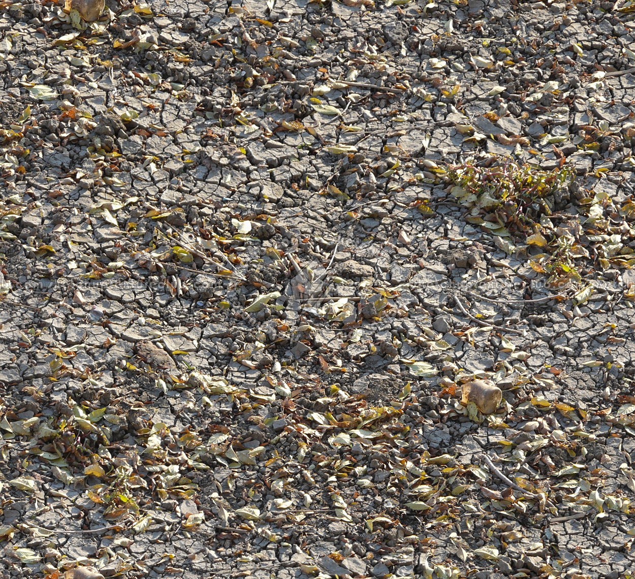 Textures   -   NATURE ELEMENTS   -   SOIL   -   Ground  - Ground texture seamless 12819 (seamless)