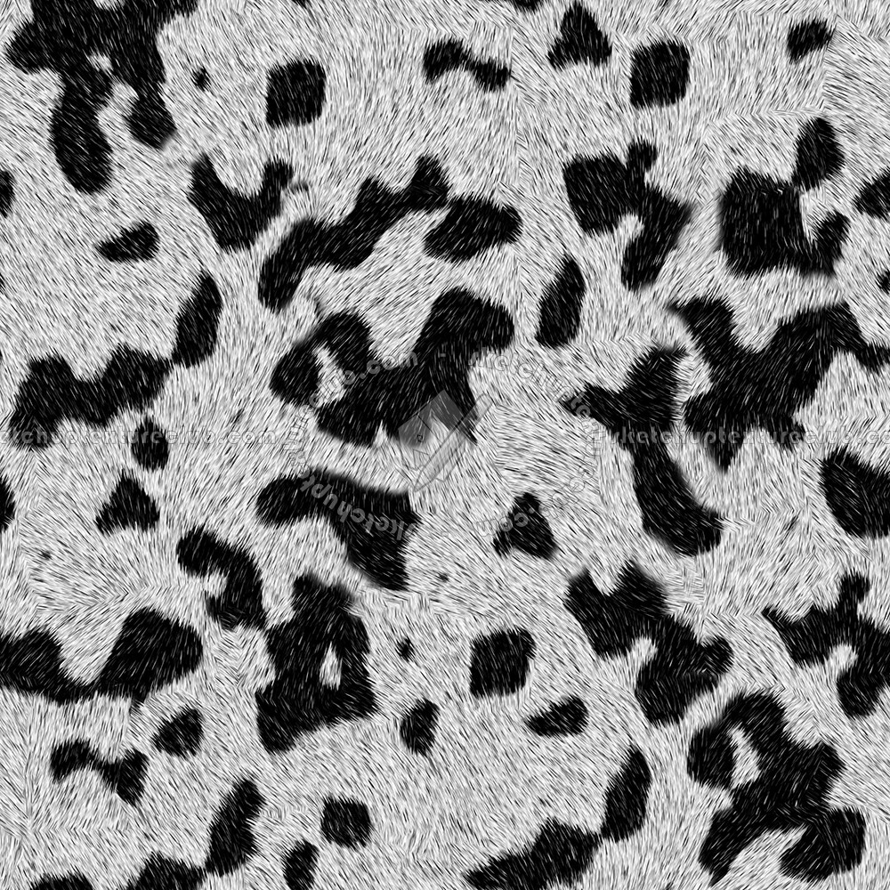 Textures   -   MATERIALS   -   FUR ANIMAL  - Dalmatian dog animal fur texture seamless 09563 (seamless)