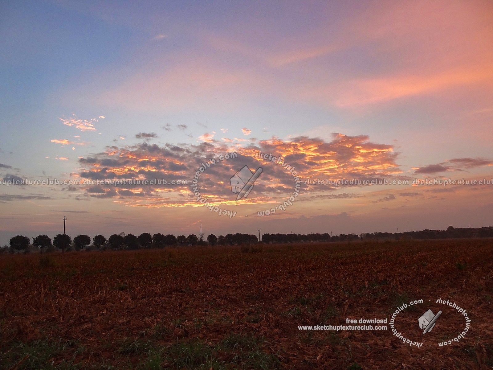 Textures - BACKGROUNDS & LANDSCAPES - SUNRISES & SUNSETS - Sunrise background in the countryside 17704