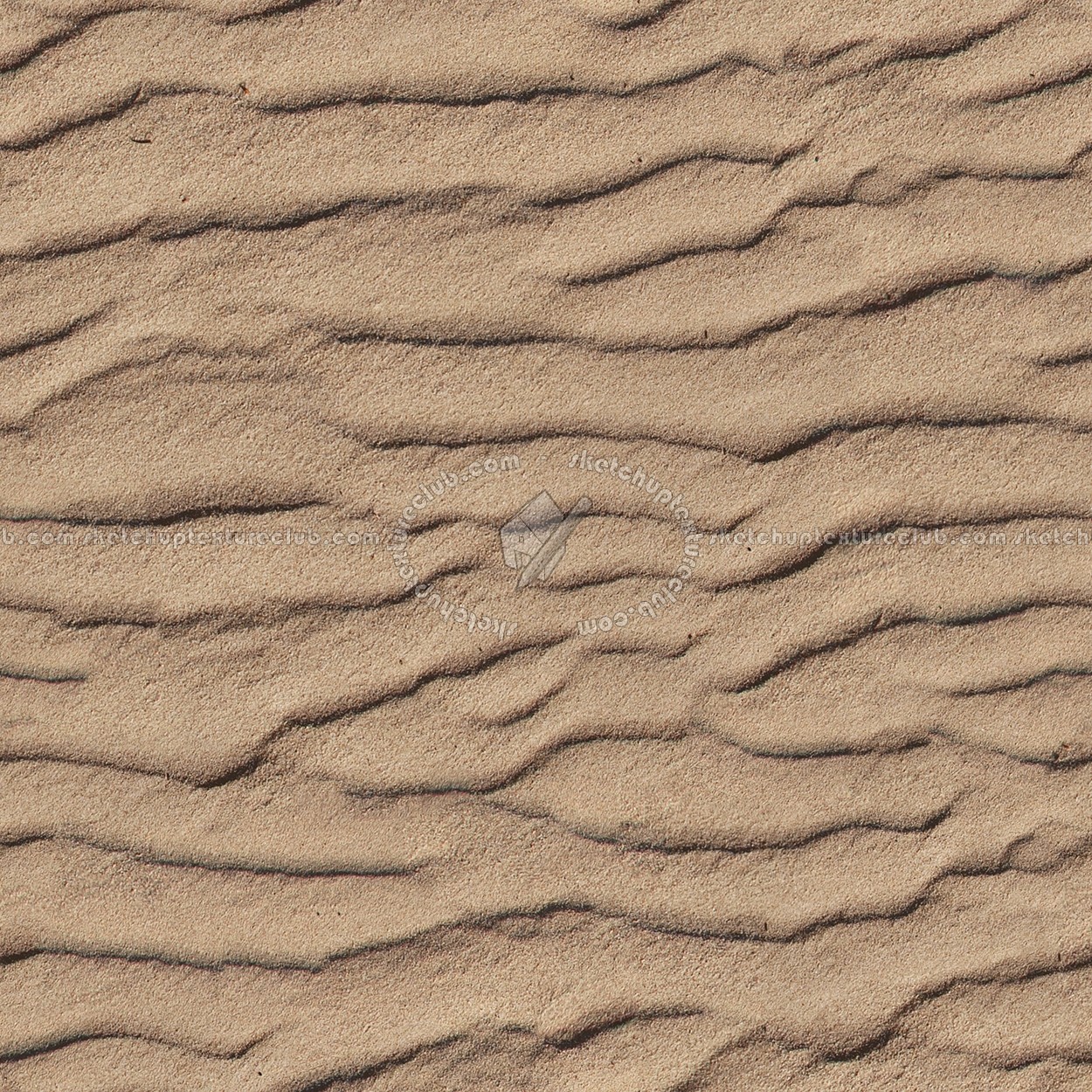 Textures   -   NATURE ELEMENTS   -   SAND  - Beach sand texture seamless 12712 (seamless)