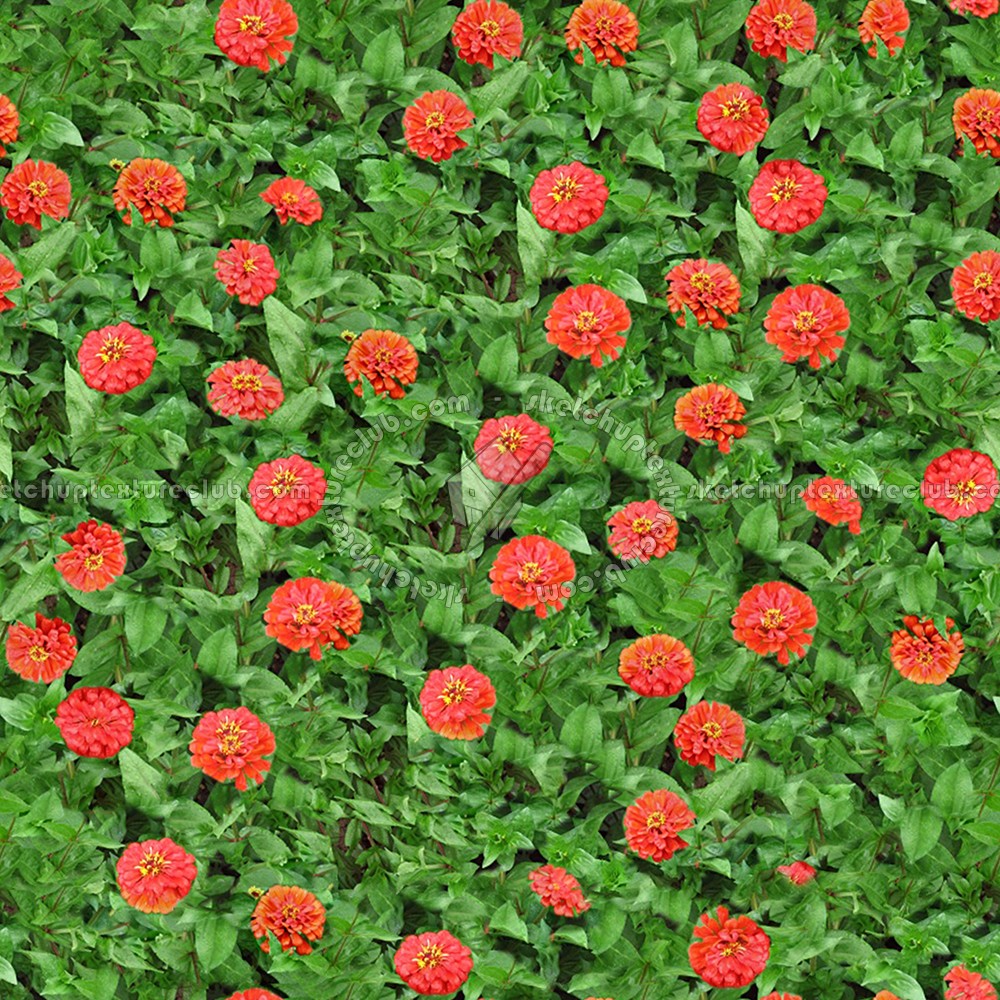 Textures   -   NATURE ELEMENTS   -   VEGETATION   -   Flowery fields  - Flowery meadow texture seamless 12951 (seamless)