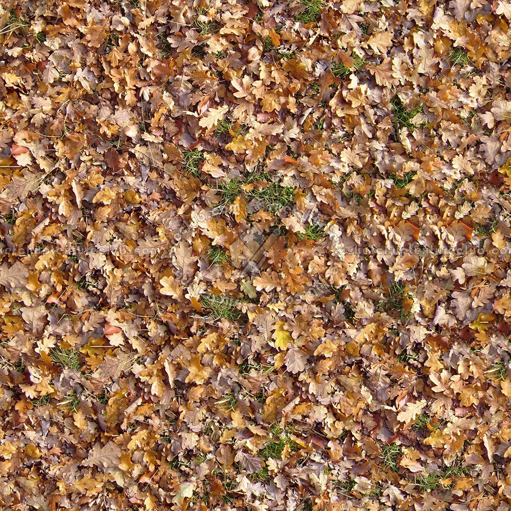 Textures   -   NATURE ELEMENTS   -   VEGETATION   -   Leaves dead  - Leaves dead texture seamless 13129 (seamless)