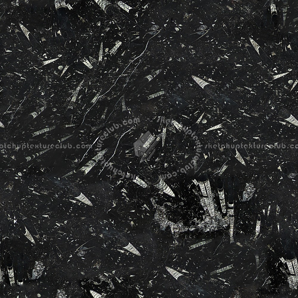 Textures - ARCHITECTURE - MARBLE SLABS - Black - Slab marble fossil black texture seamless 01923 (seamless)