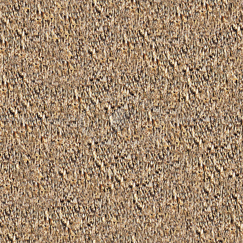 Textures   -   ARCHITECTURE   -   ROOFINGS   -   Thatched roofs  - Thatched roof texture seamless 04050 (seamless)