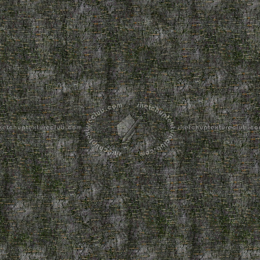 Textures   -   NATURE ELEMENTS   -   BARK  - Bark texture seamless 12321 (seamless)