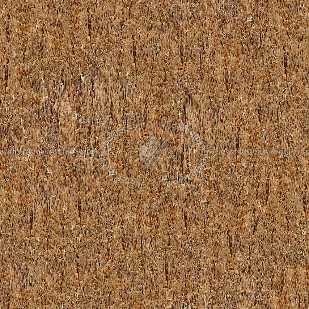 Textures   -   ARCHITECTURE   -   ROOFINGS   -   Thatched roofs  - Thatched roof texture seamless 04051 (seamless)