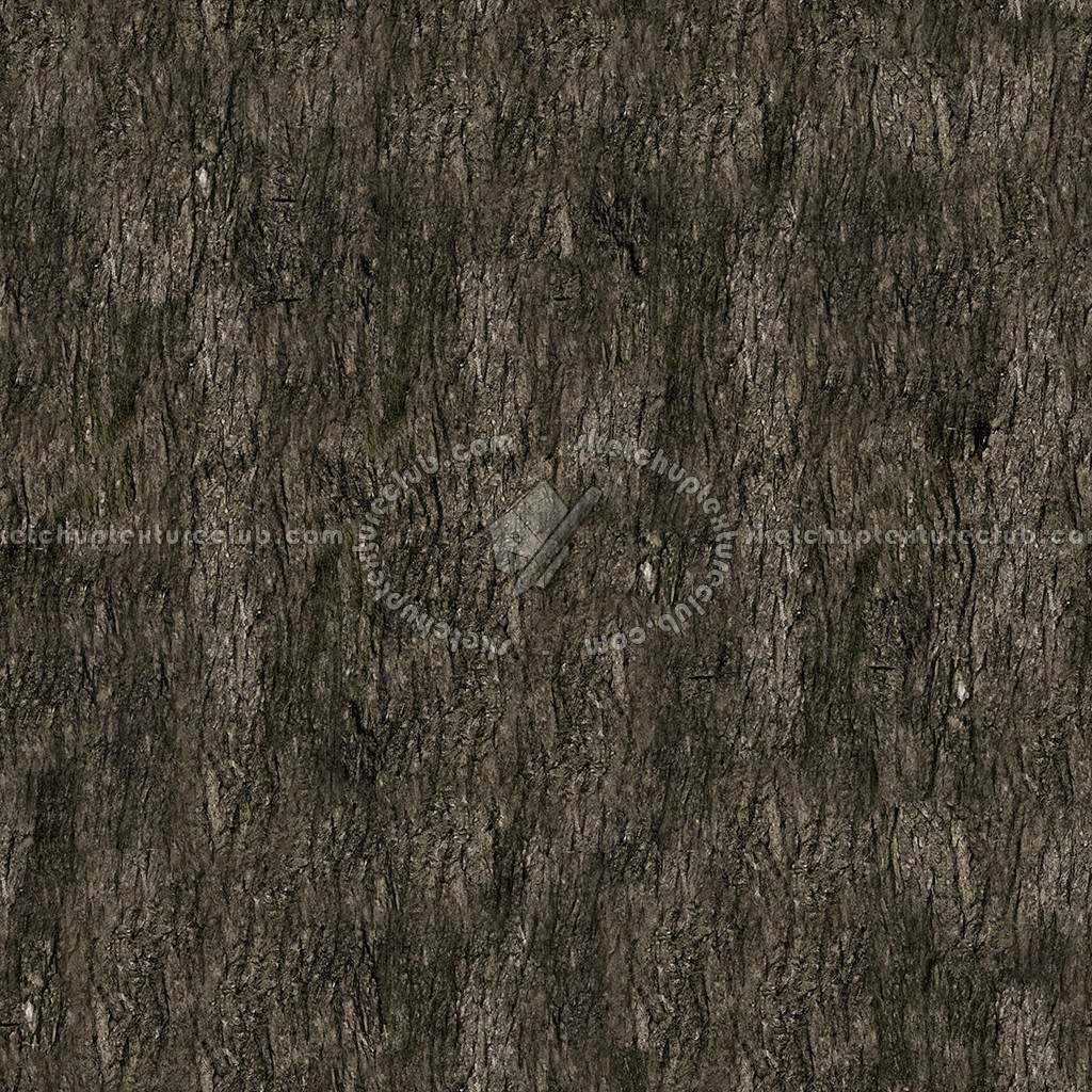 Textures   -   NATURE ELEMENTS   -   BARK  - Bark texture seamless 12322 (seamless)