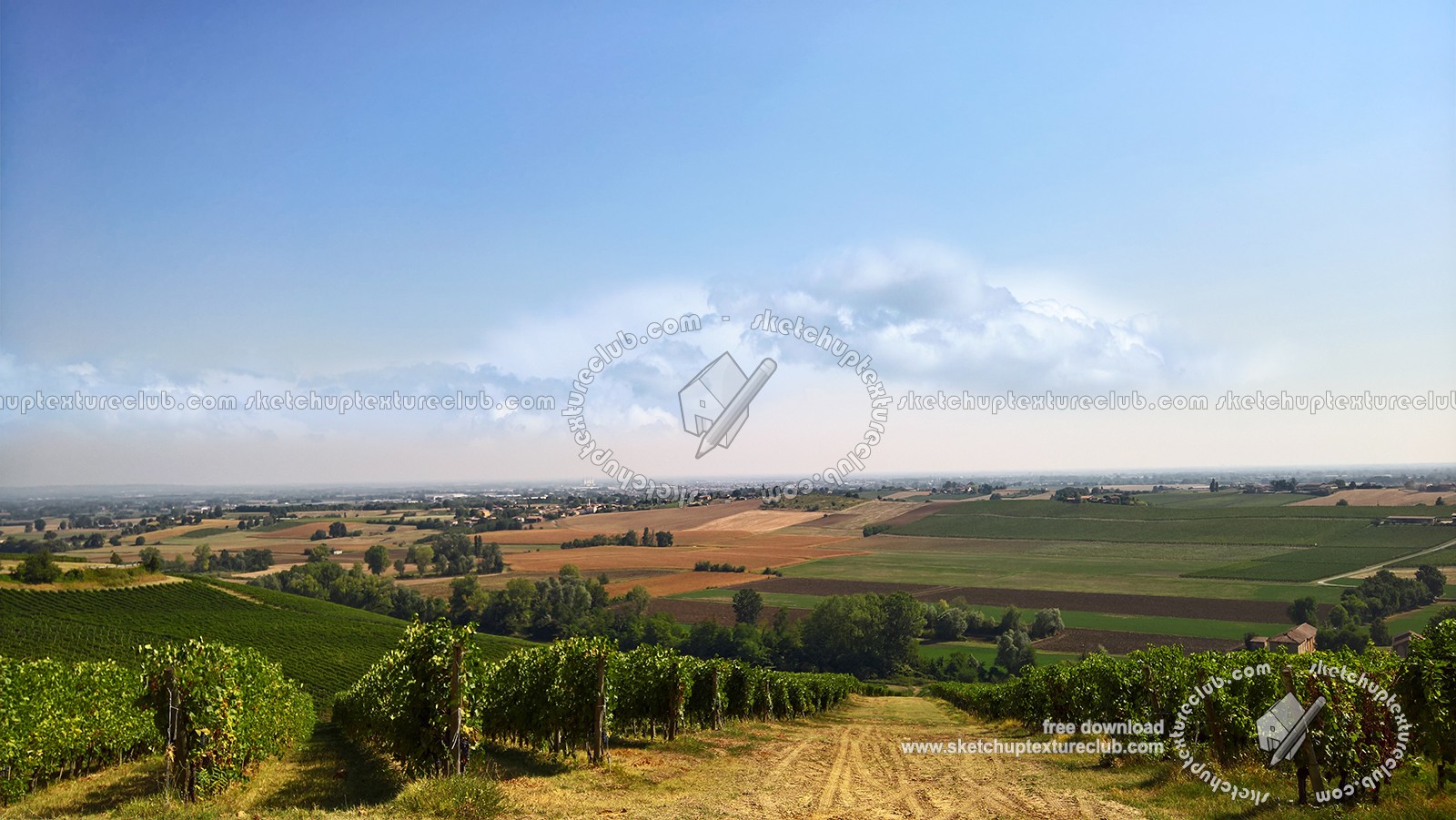 Textures   -   BACKGROUNDS &amp; LANDSCAPES   -   NATURE   -   Vineyards  - Italy vineyards background 17738