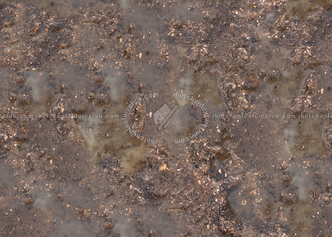 Textures   -   NATURE ELEMENTS   -   SOIL   -   Mud  - Mud texture seamless 12887 (seamless)