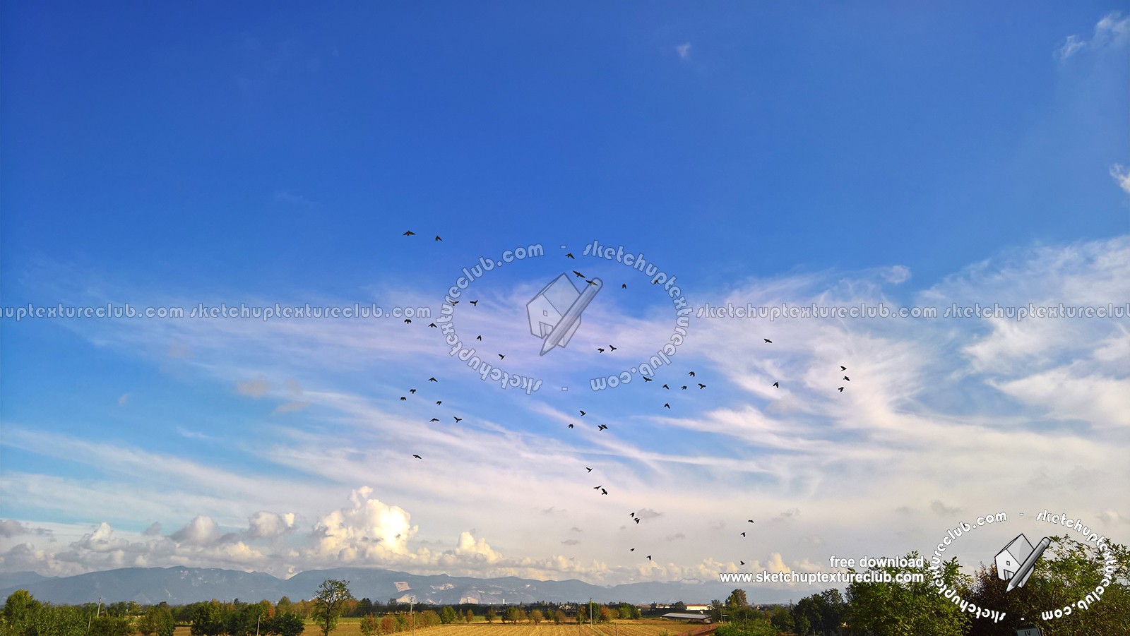 Sky with countryside and flight of birds background 17793