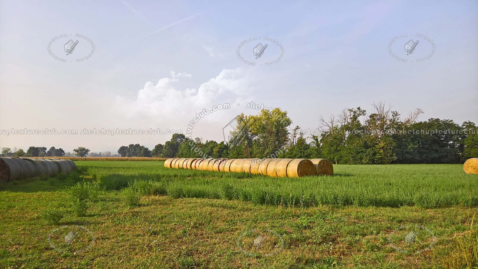 Textures - BACKGROUNDS & LANDSCAPES - NATURE - Countrysides & Hills - Countryside landscape with hay rolls 17510