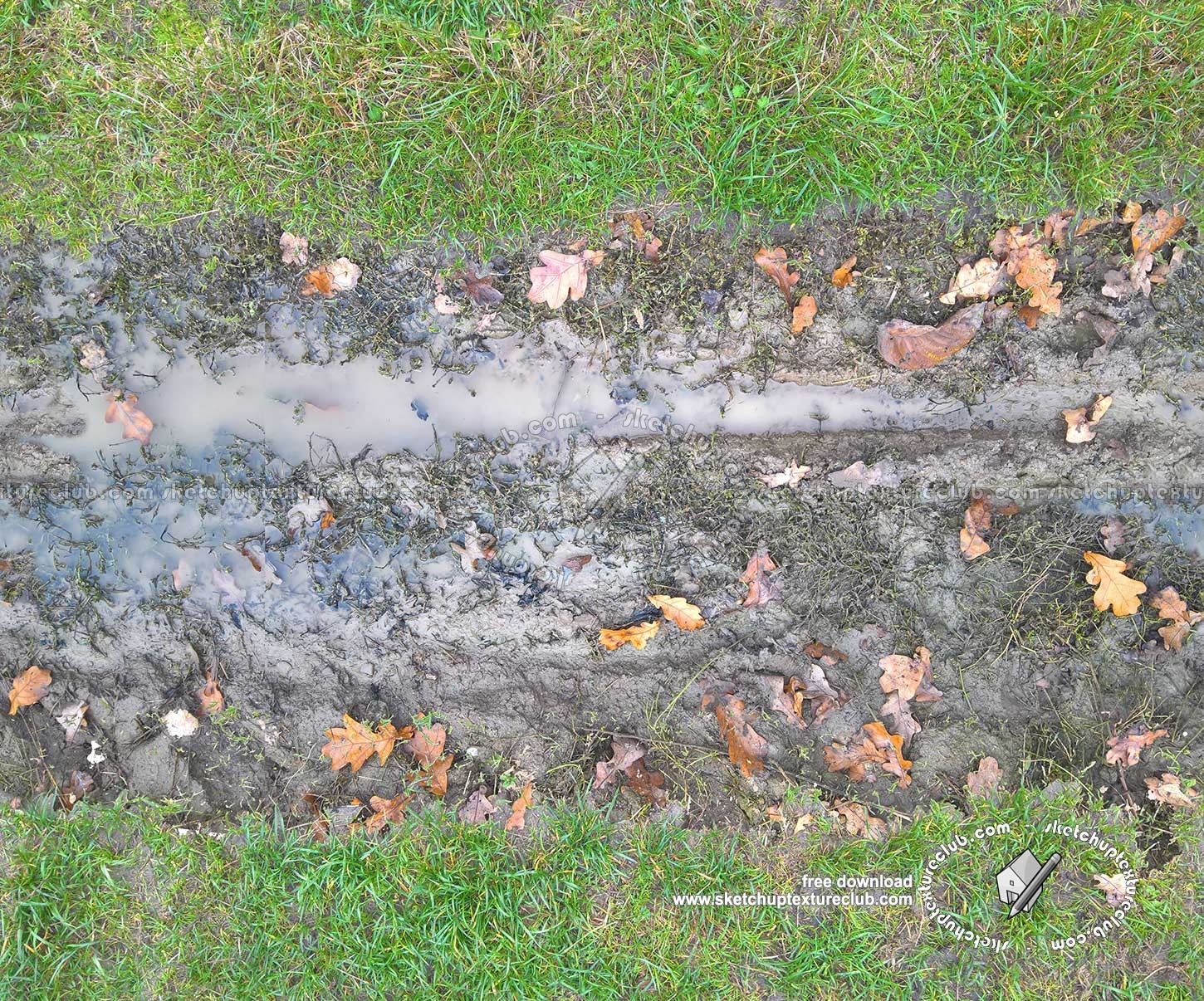 Textures   -   ARCHITECTURE   -   ROADS   -   Dirt Roads  - Dirt road with mud texture seamless 20470 (seamless)