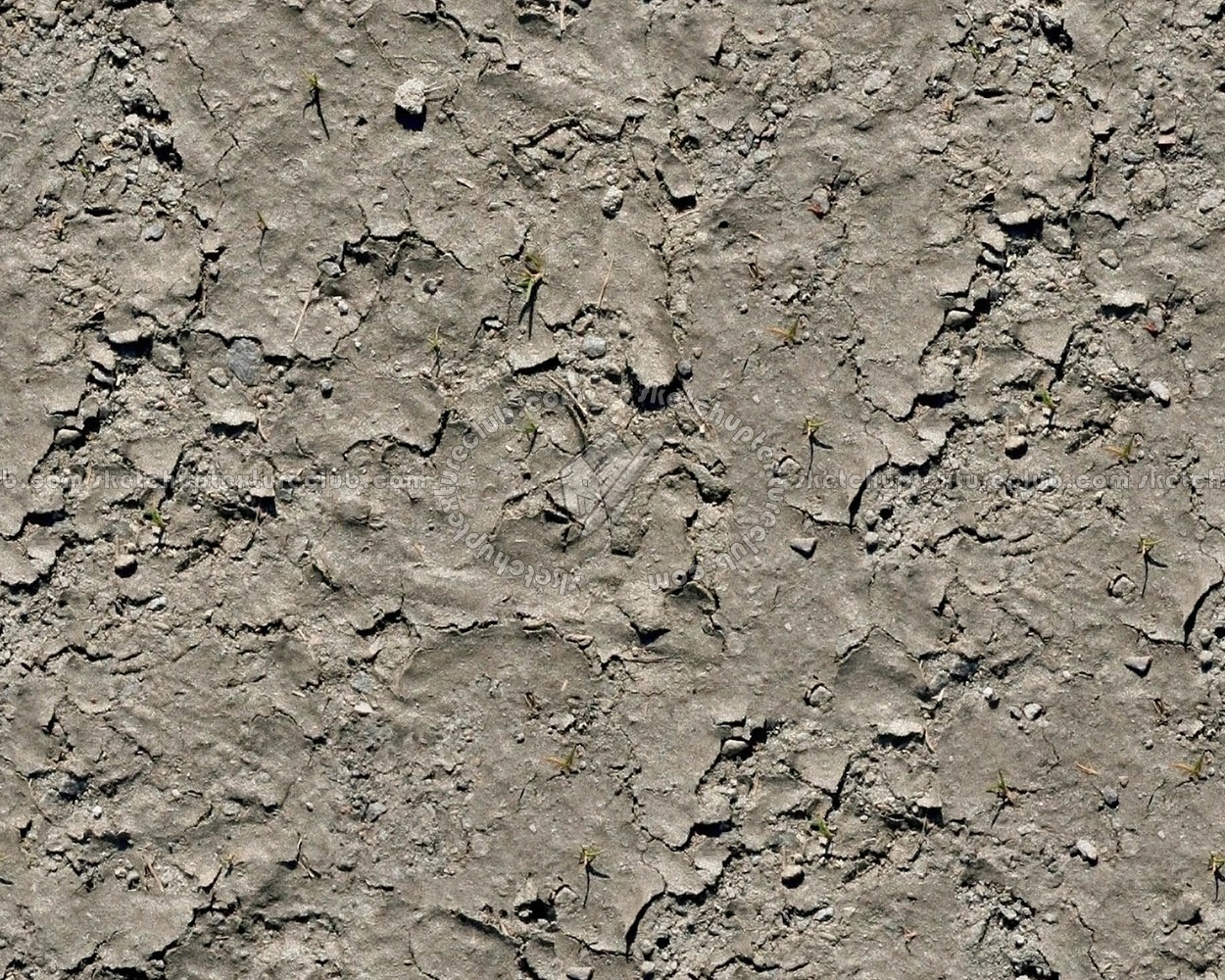 Textures   -   NATURE ELEMENTS   -   SOIL   -   Mud  - Dry mud texture seamless 12888 (seamless)