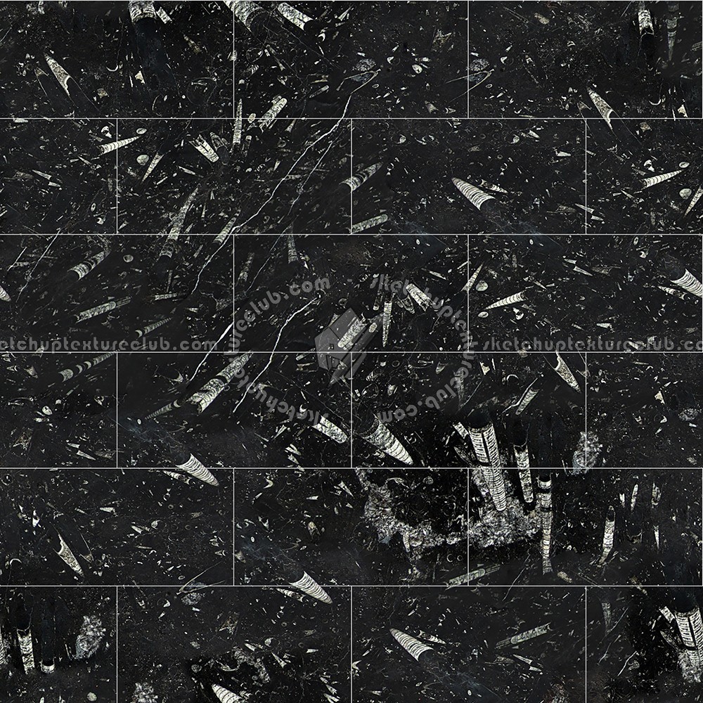 Textures - ARCHITECTURE - TILES INTERIOR - Marble tiles - Black - Fossil black marble tile texture seamless 14127 (seamless)