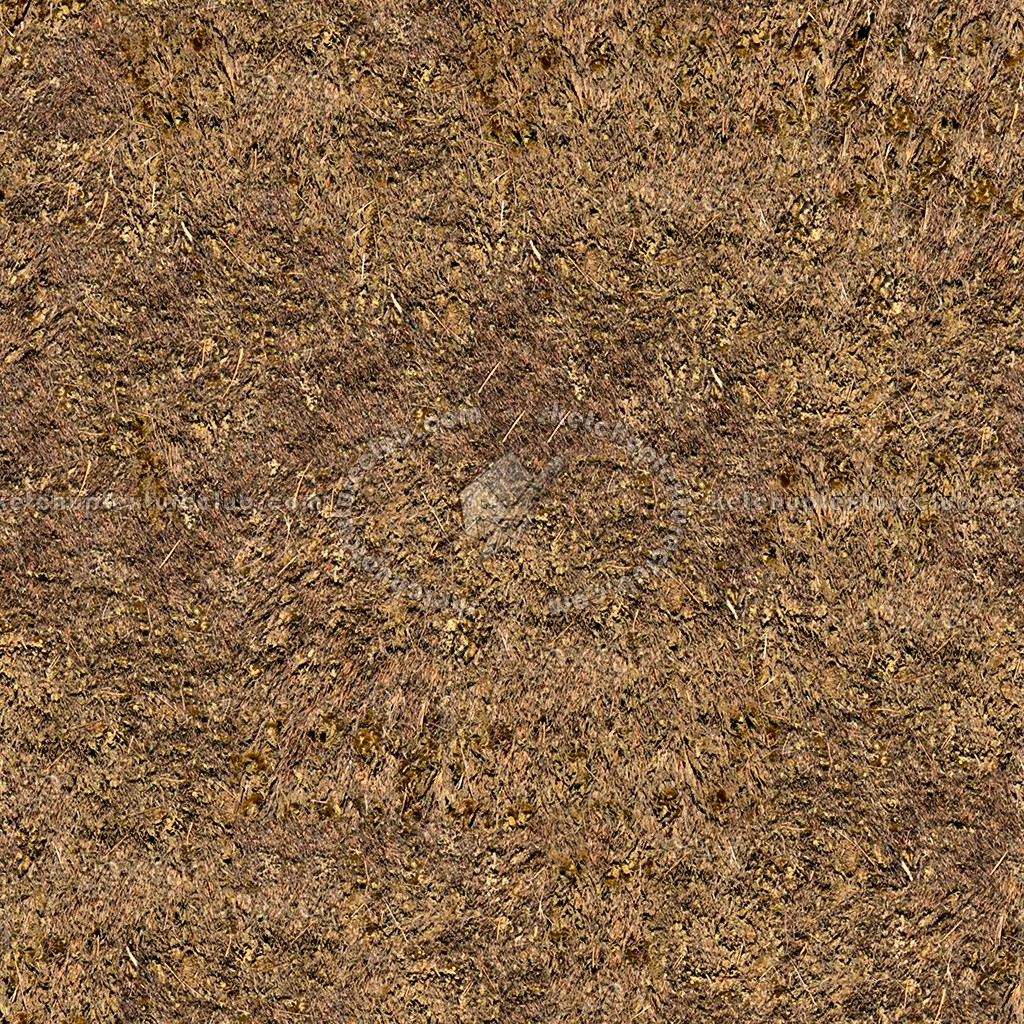 Textures   -   ARCHITECTURE   -   ROOFINGS   -   Thatched roofs  - Thatched roof texture seamless 04053 (seamless)