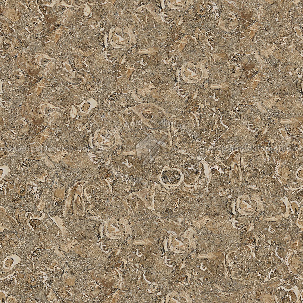Textures - ARCHITECTURE - MARBLE SLABS - Brown - Slab marble rasotica texture seamless 01985 (seamless)