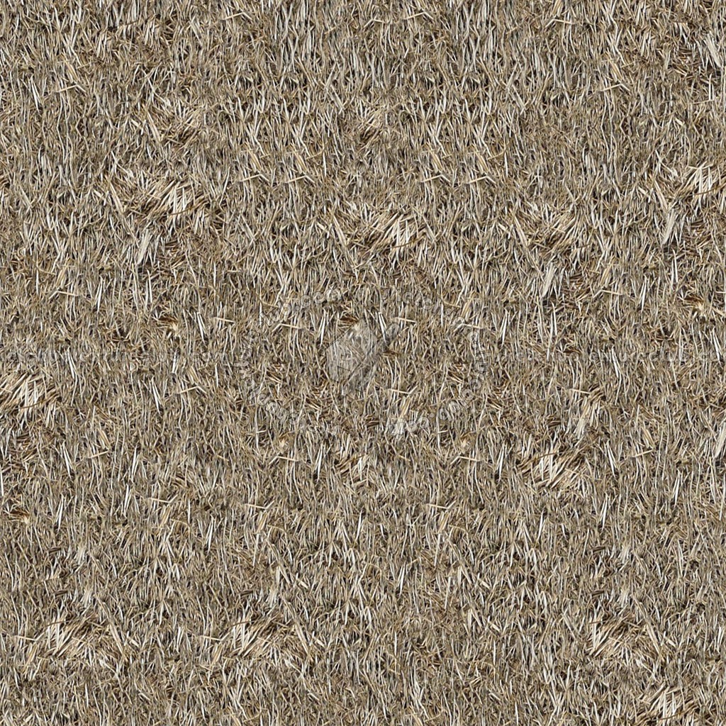 Textures   -   ARCHITECTURE   -   ROOFINGS   -   Thatched roofs  - Thatched roof texture seamless 04054 (seamless)