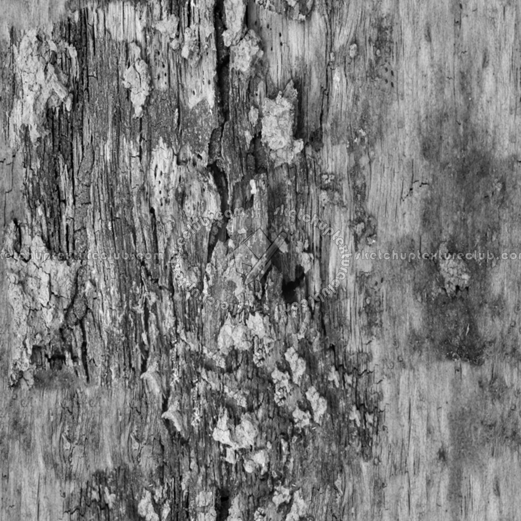 Textures - NATURE ELEMENTS - BARK - Bark texture seamless 12325 - Displacement