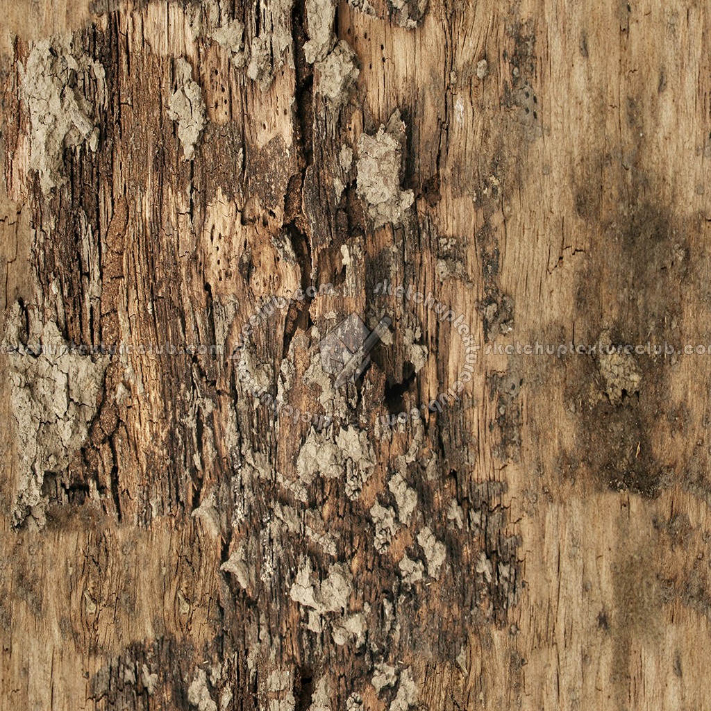 bark textures seamless