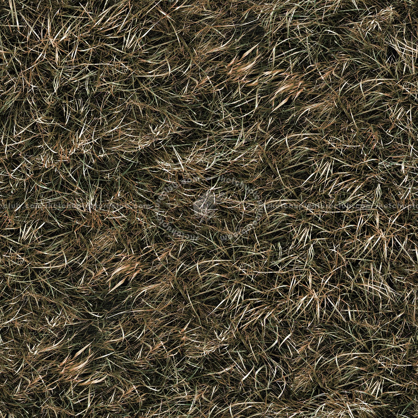 Dry Grass Texture Seamless 12931 