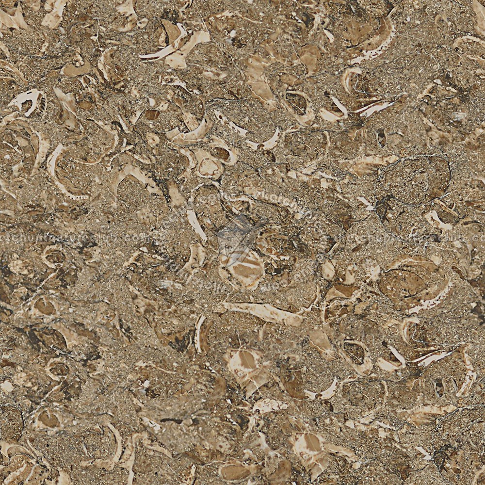 Textures   -   ARCHITECTURE   -   MARBLE SLABS   -   Brown  - Slab marble rasotica texture seamless 01986 (seamless)