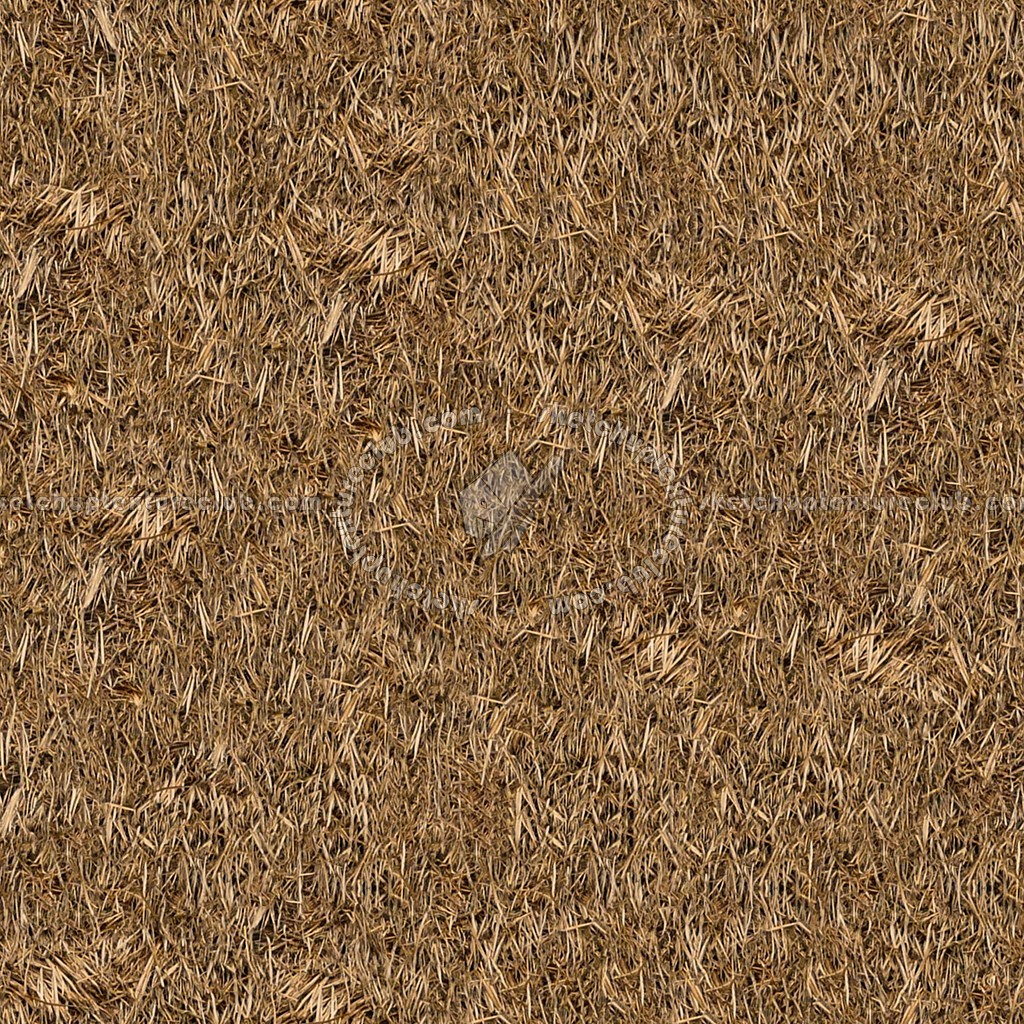 Textures   -   ARCHITECTURE   -   ROOFINGS   -   Thatched roofs  - Thatched roof texture seamless 04055 (seamless)