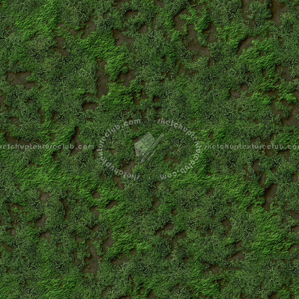 Textures   -   NATURE ELEMENTS   -   VEGETATION   -   Green grass  - Green grass texture seamless 12986 (seamless)