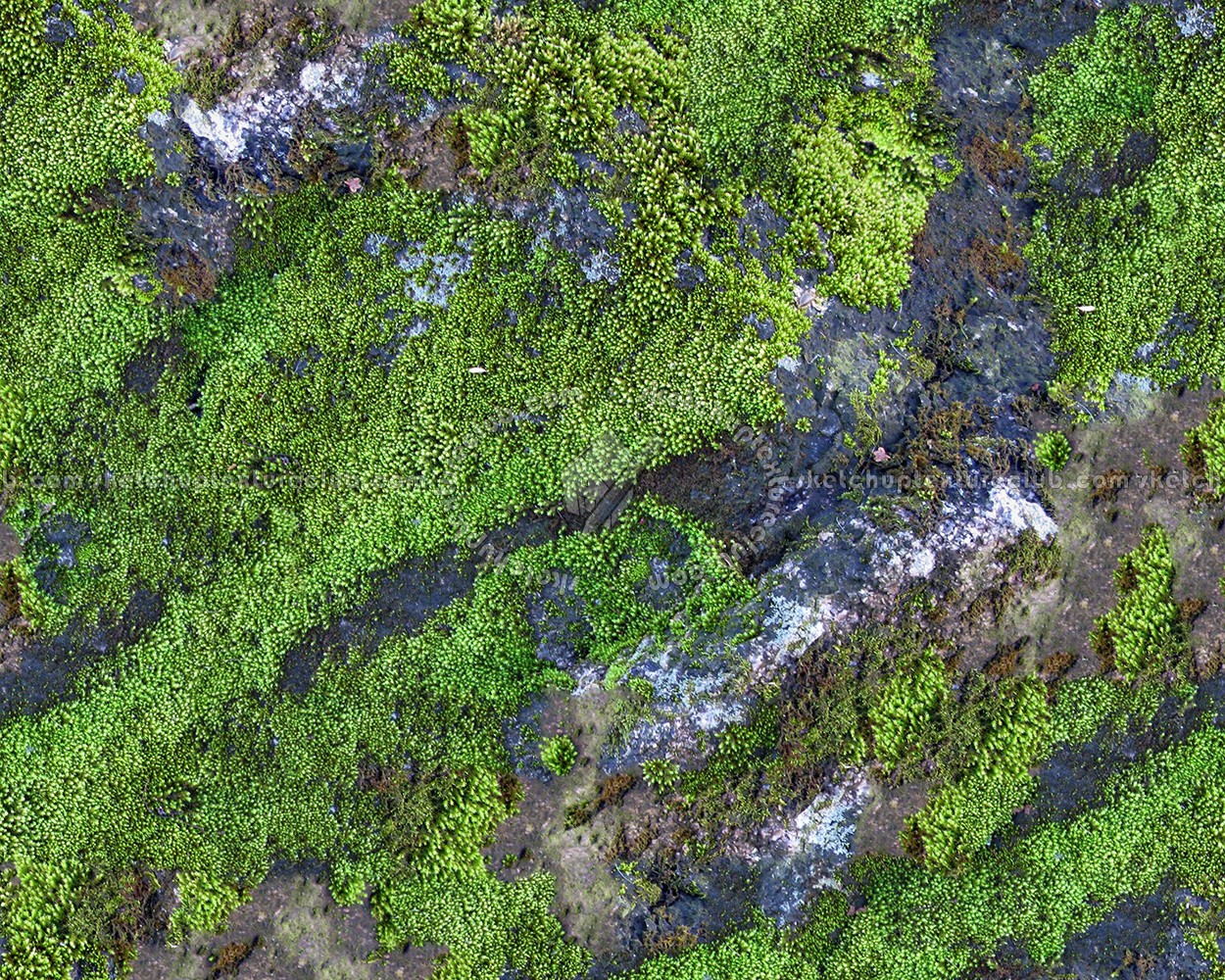 Mossy Rock Texture Seamless