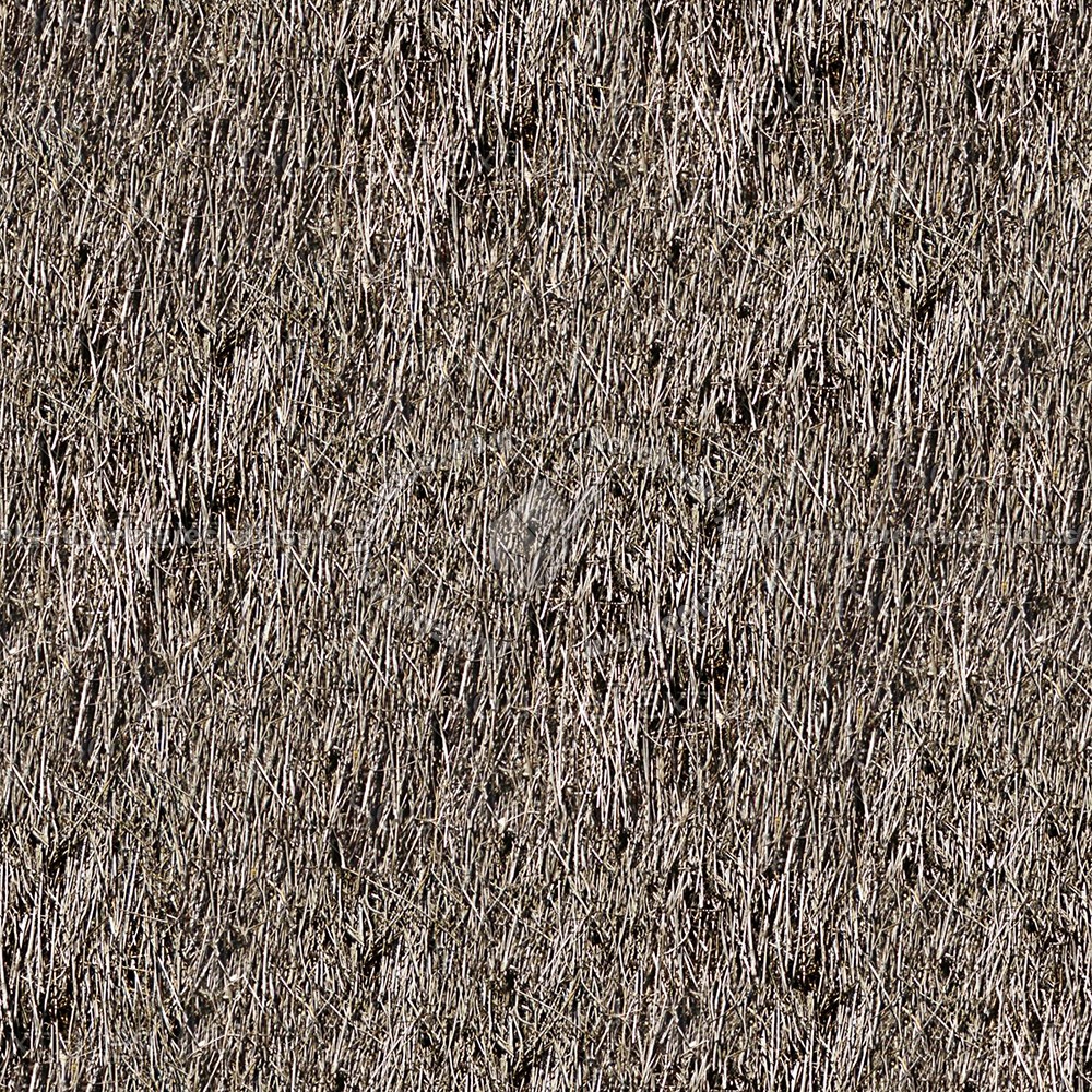Textures   -   ARCHITECTURE   -   ROOFINGS   -   Thatched roofs  - Thatched roof texture seamless 04056 (seamless)