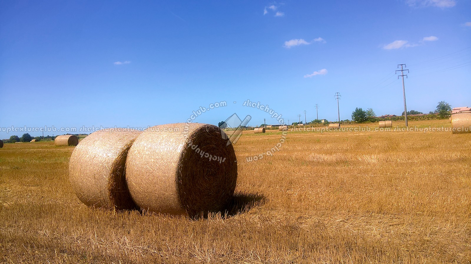 Textures   -   BACKGROUNDS & LANDSCAPES   -   NATURE   -   Countrysides & Hills  - Countryside landscape with hay rolls 17615