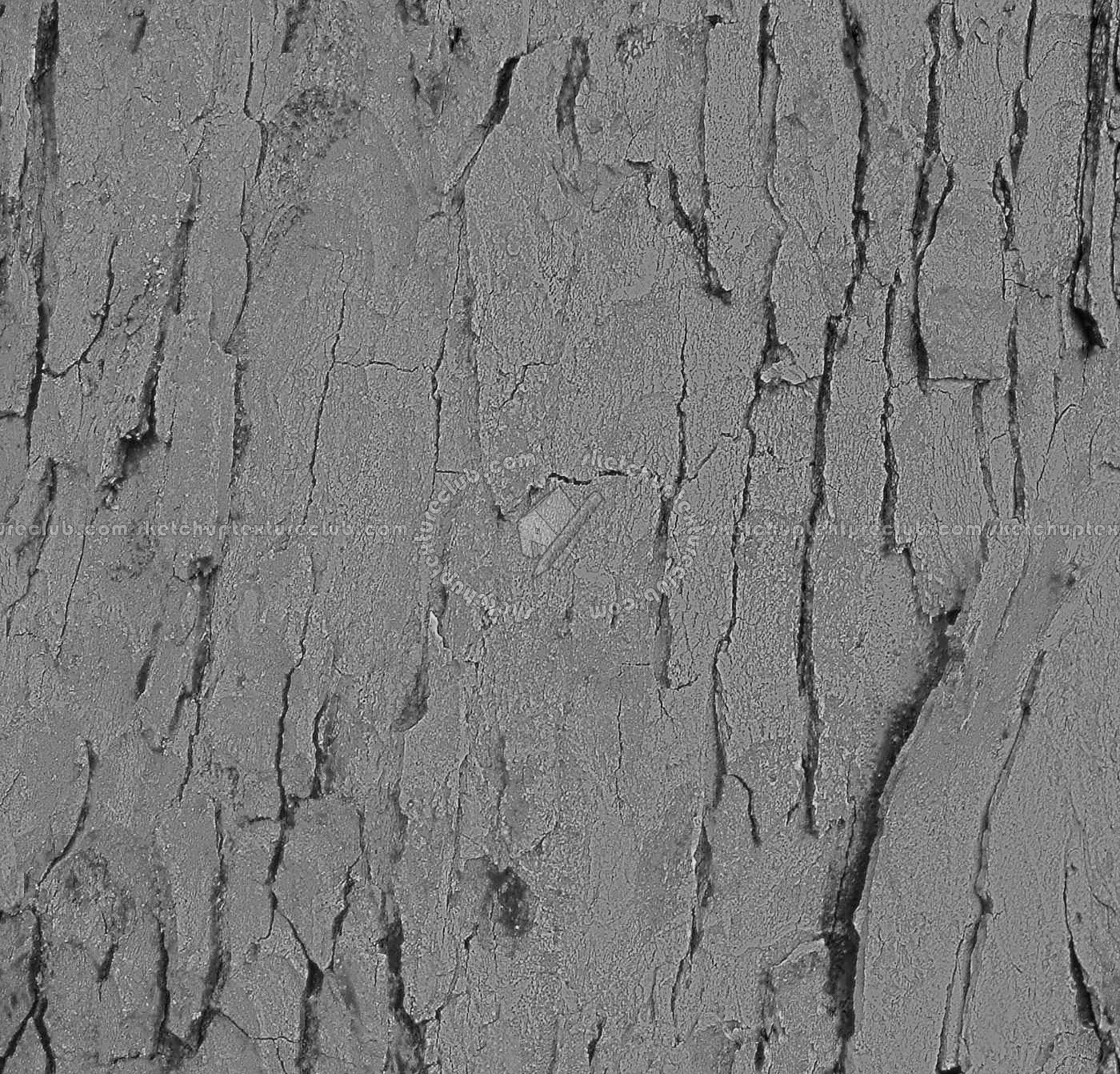 Textures   -   NATURE ELEMENTS   -   BARK  - Bark texture seamless 12328 - Bump