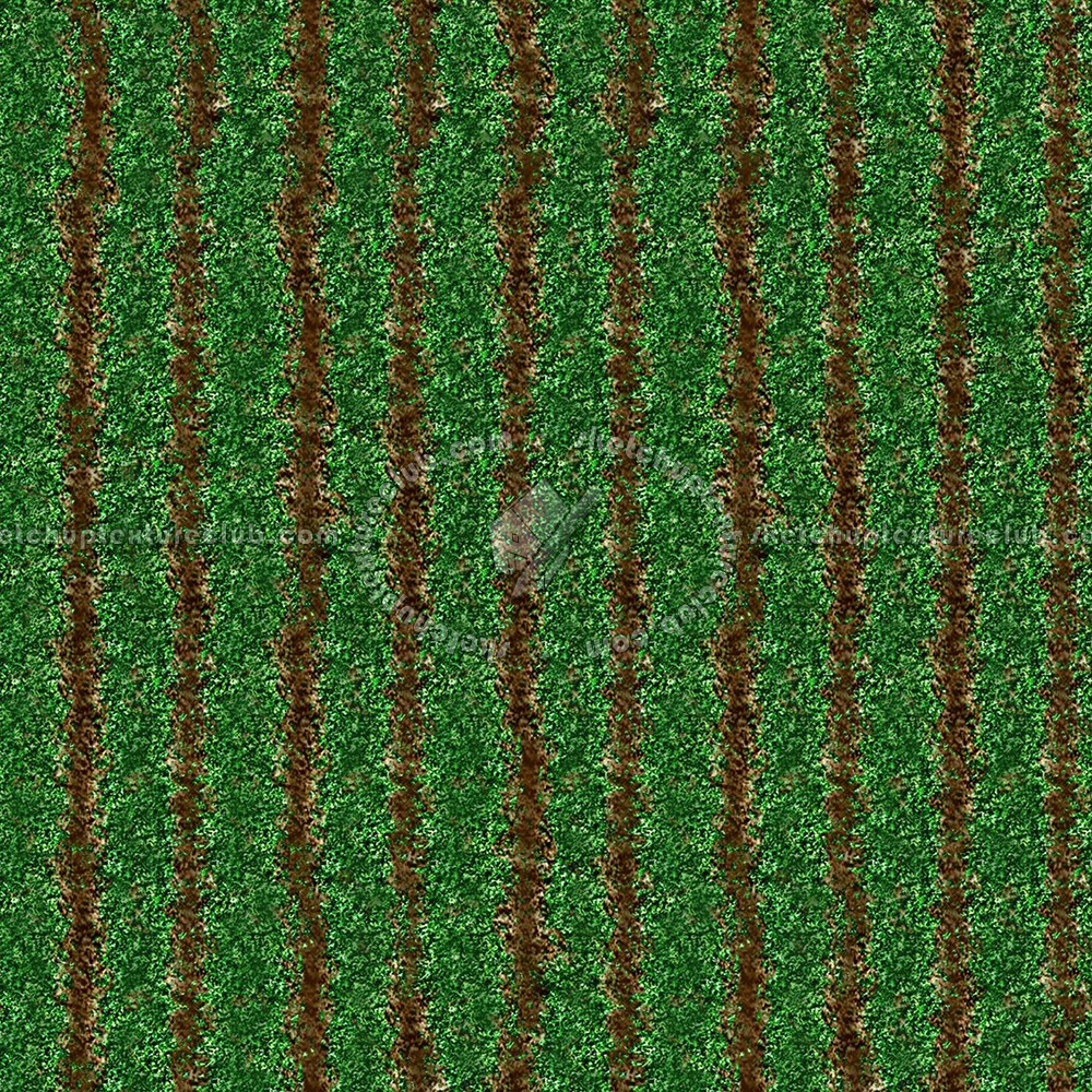 Textures   -   NATURE ELEMENTS   -   VEGETATION   -   Green grass  - Green grass texture seamless 12988 (seamless)