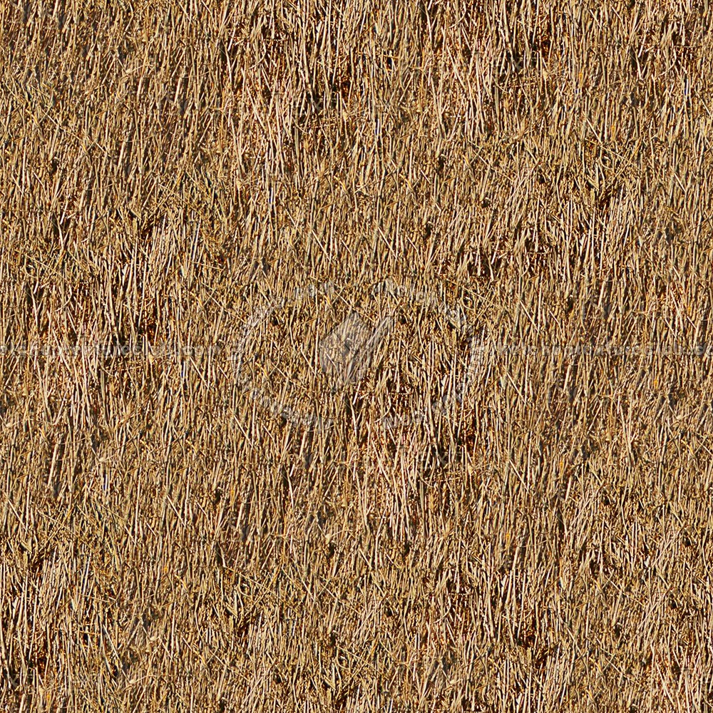 Thatched roofs textures seamless