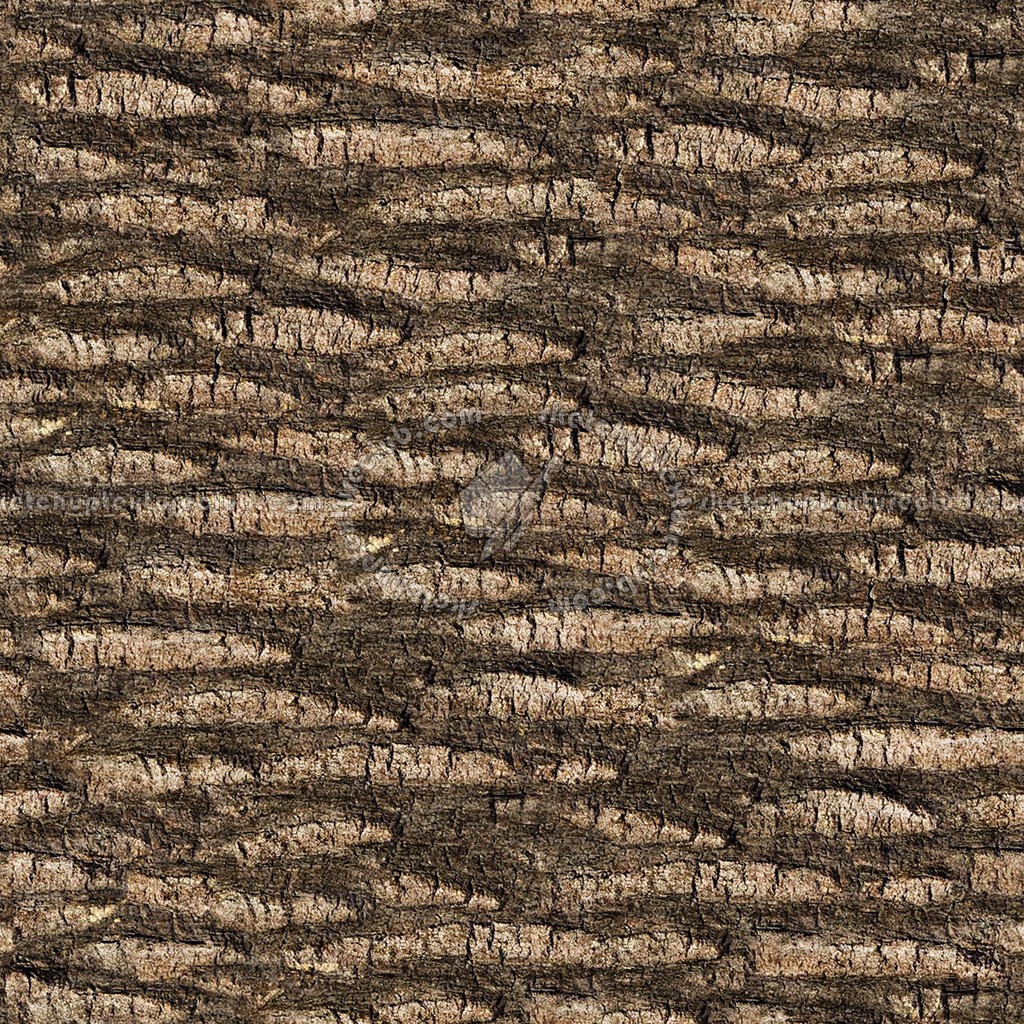 Textures   -   NATURE ELEMENTS   -   BARK  - Bark texture seamless 12329 (seamless)