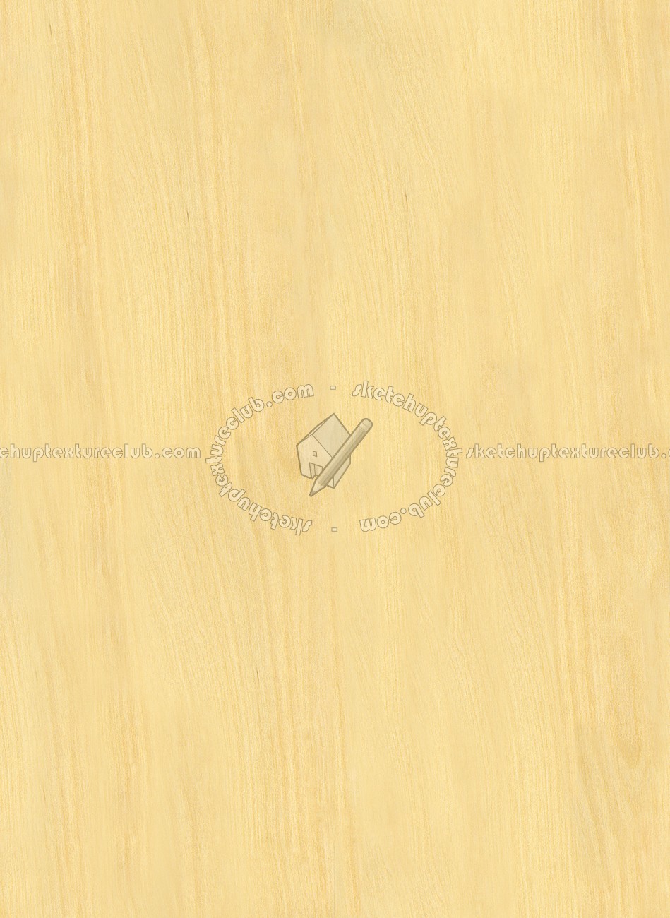 Maple light wood fine texture seamless 04313