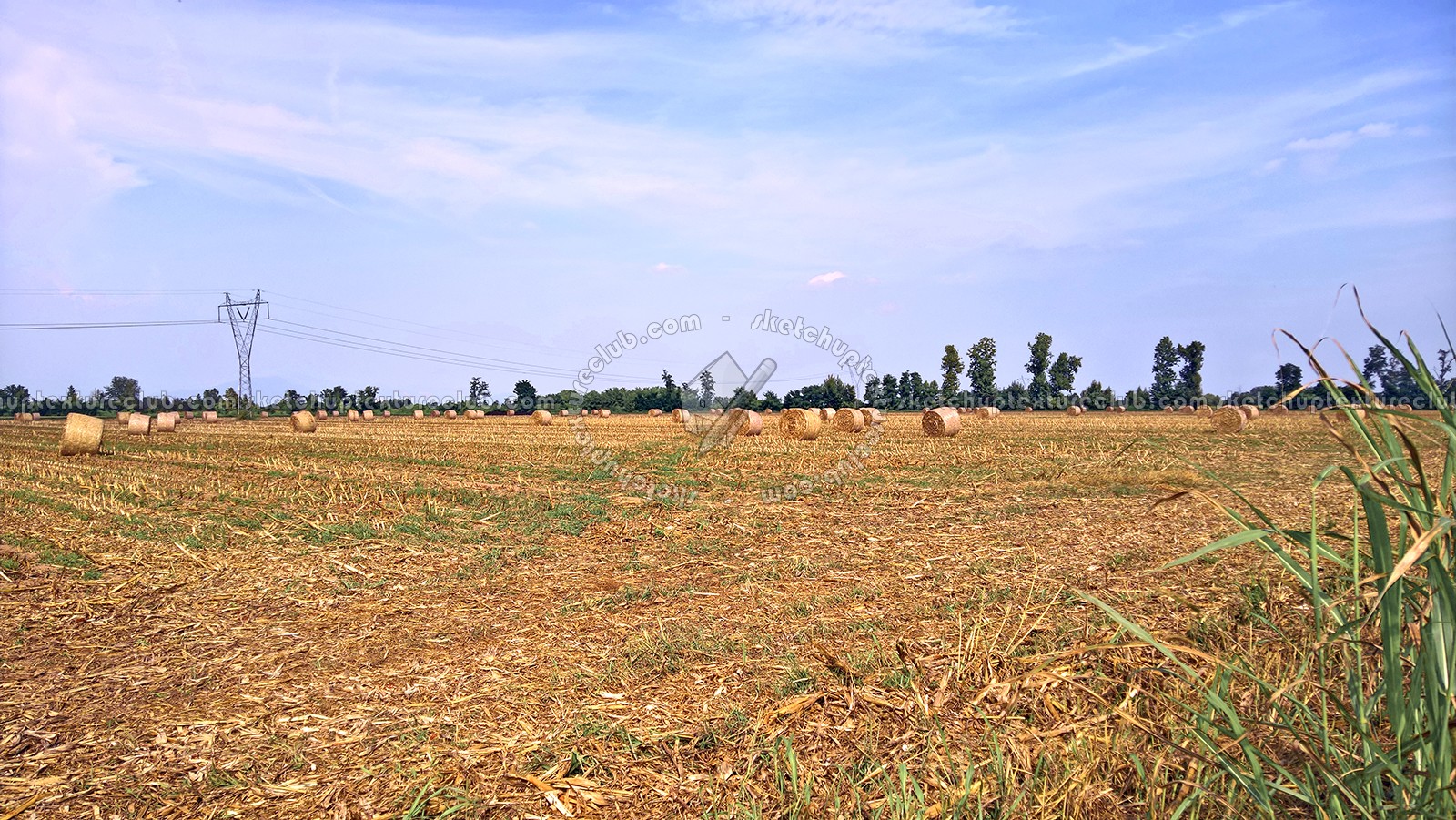 Textures   -   BACKGROUNDS &amp; LANDSCAPES   -   NATURE   -   Countrysides &amp; Hills  - Countryside landscape with hay rolls 17618