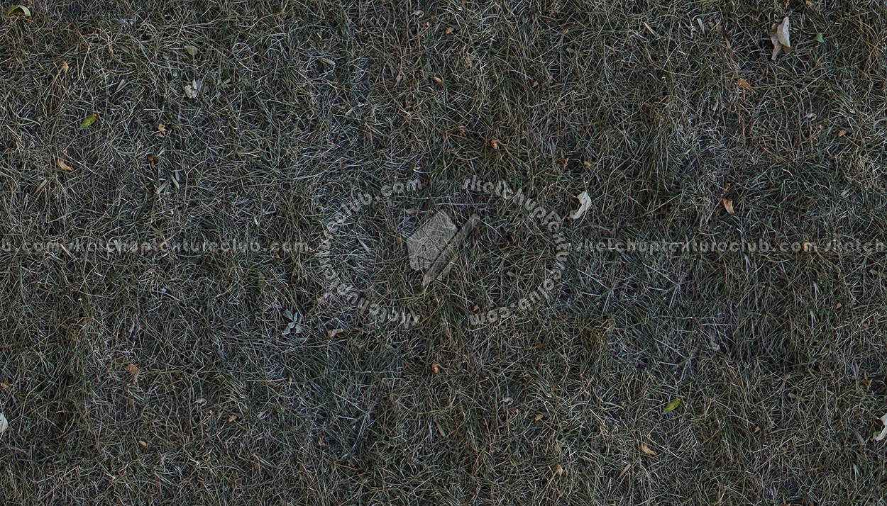 dried grass texture seamless