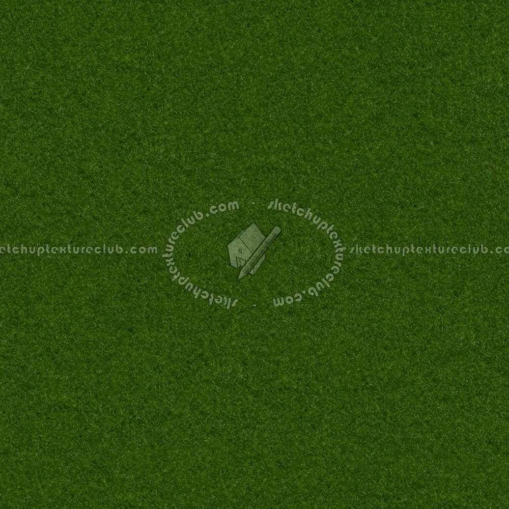 Textures   -   MATERIALS   -   CARPETING   -   Green tones  - Green outdoor carpeting texture seamless 16723 (seamless)