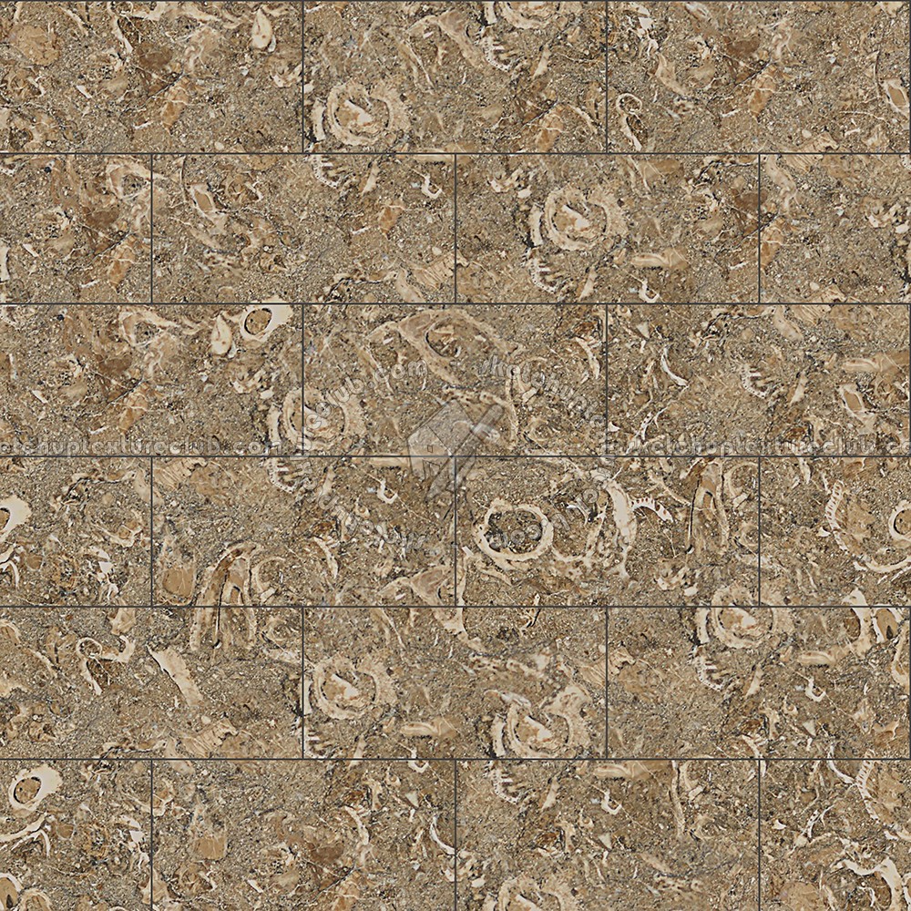 Textures   -   ARCHITECTURE   -   TILES INTERIOR   -   Marble tiles   -   Brown  - Rasotica brown marble tile texture seamless 14202 (seamless)