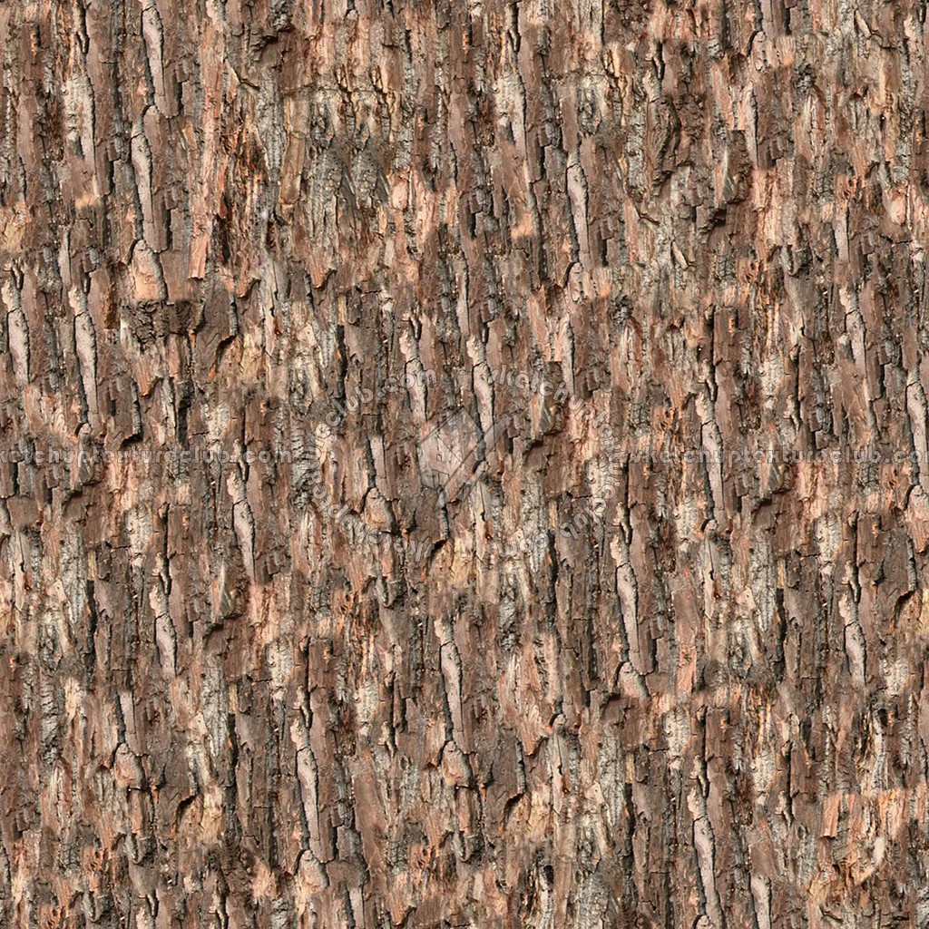 Textures   -   NATURE ELEMENTS   -   BARK  - Bark texture seamless 12331 (seamless)