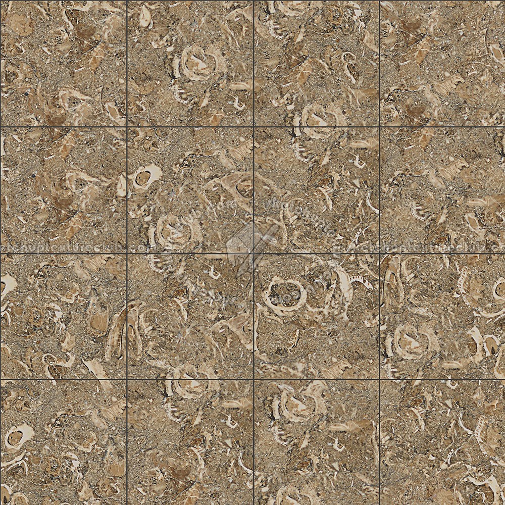 Textures   -   ARCHITECTURE   -   TILES INTERIOR   -   Marble tiles   -   Brown  - Rasotica brown marble tile texture seamless 14203 (seamless)