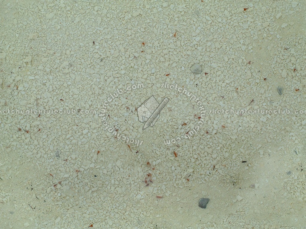 Textures   -   NATURE ELEMENTS   -   SAND  - Underwater beach sand texture seamless 12723 (seamless)