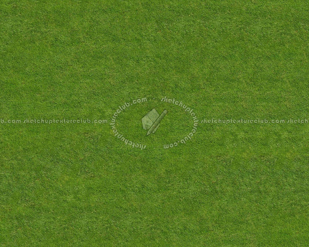 Textures   -   NATURE ELEMENTS   -   VEGETATION   -   Green grass  - Green grass texture seamless 12991 (seamless)