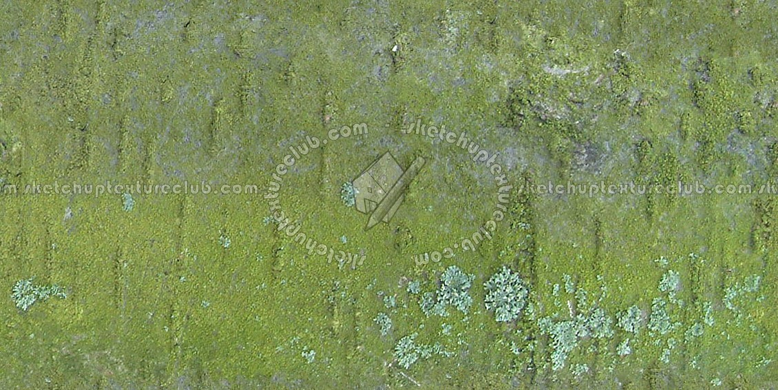 Textures   -   NATURE ELEMENTS   -   BARK  - Bark texture seamless 12333 (seamless)