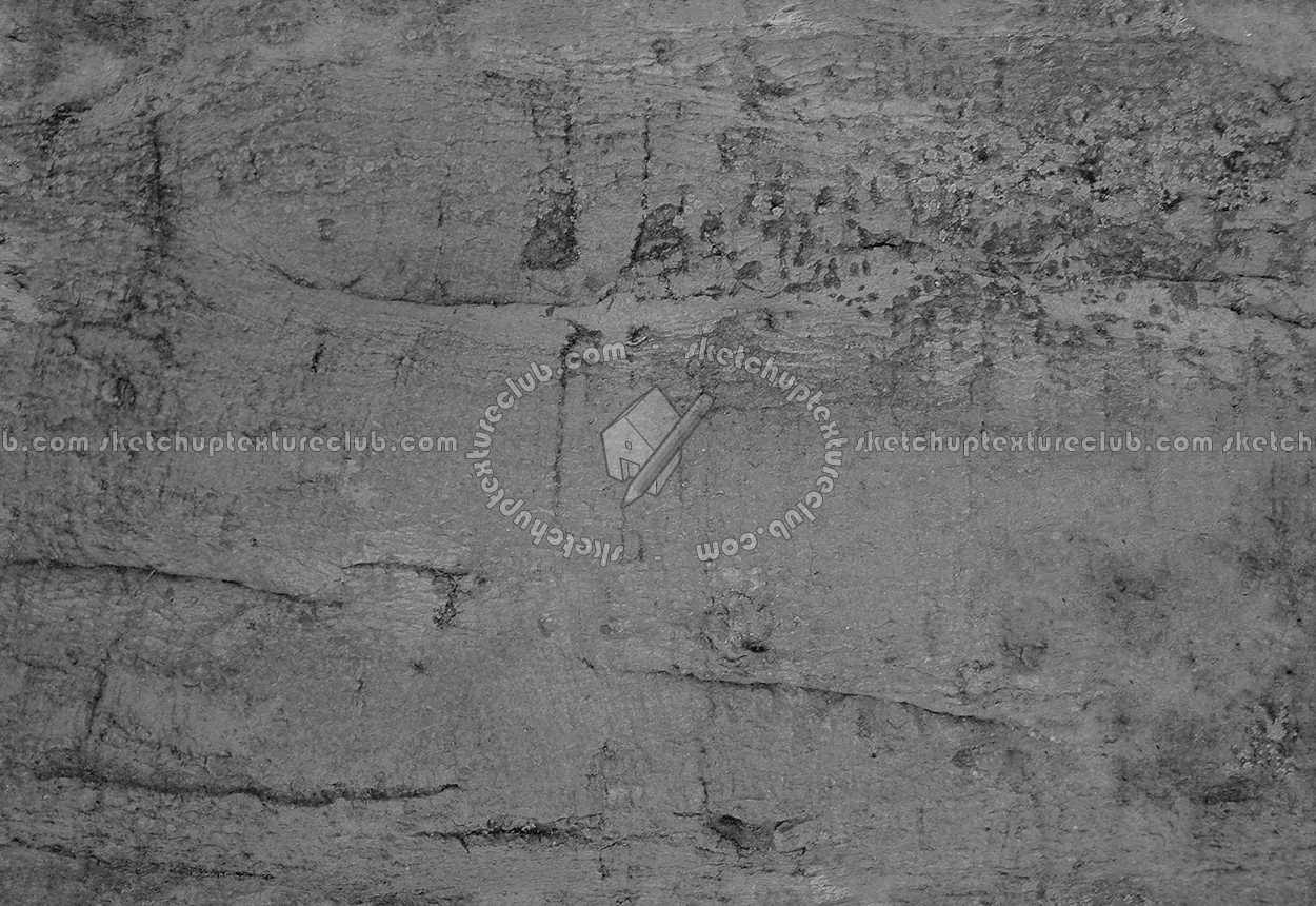 Textures   -   NATURE ELEMENTS   -   BARK  - Bark texture seamless 12334 - Bump